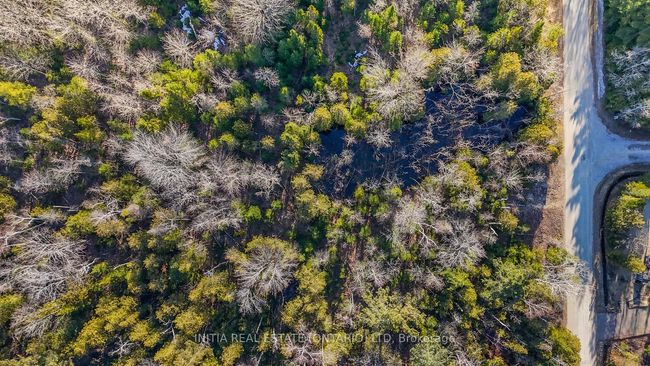 450 Sauble Falls Pky, Home with 0 bedrooms, 0 bathrooms and null parking in Sauble Beach ON | Image 33