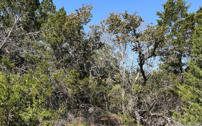 0 State Highway 46 W, Home with 0 bedrooms, 0 bathrooms and null parking in Spring Branch TX | Image 12