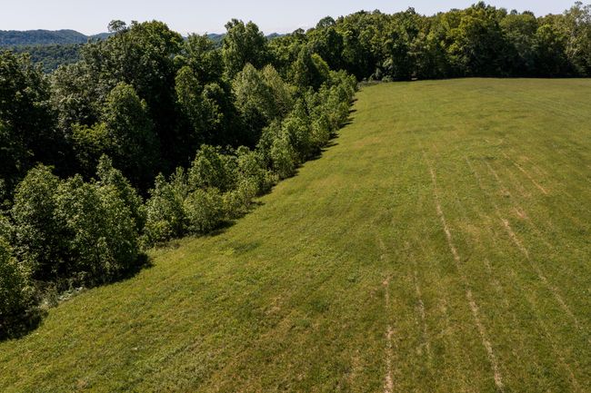 Edge of Woods | Image 11