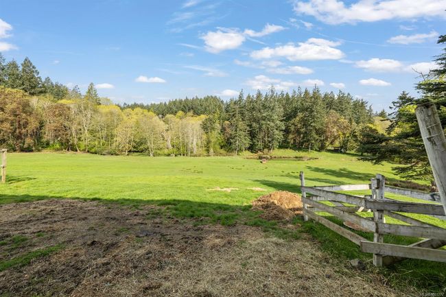 View of yard featuring a wooded view | Image 45