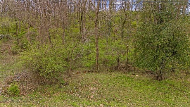 0 Kenesaw Dr, Home with 0 bedrooms, 0 bathrooms and null parking in Nashville TN | Image 15