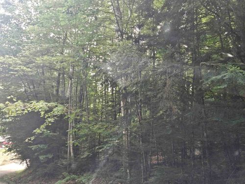 Lot 254 Kearsarge Drive, Haverhill, NH, 03765 | Card Image