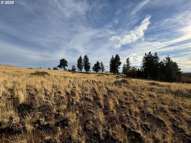 0 Jensen Quarry Rd, Home with 0 bedrooms, 0 bathrooms and null parking in Bickleton WA | Image 36