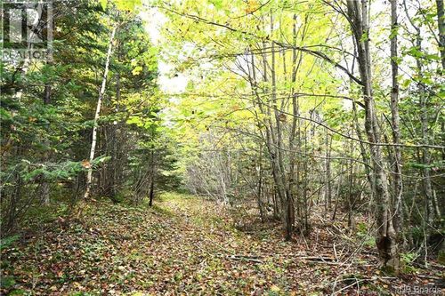 155 Hutchins Rd, Welshpool, NB, E5E1H1 | Card Image