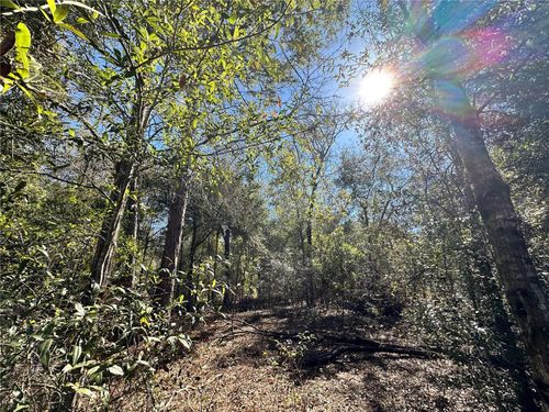 TBD Ne Ne 85th Avenue, BRONSON, FL, 32621 | Card Image