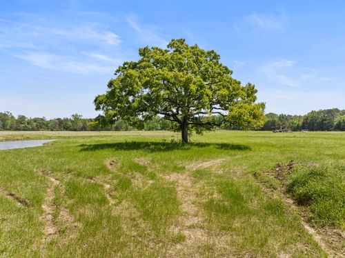 Lot A County Road 3324, Pittsburg, TX, 75686 | Card Image
