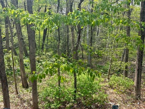 0 Parker Rd, Lancaster, MA, 01523 | Card Image