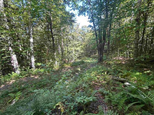 0 W Hill Rd N, Jamaica, VT, 05343 | Card Image