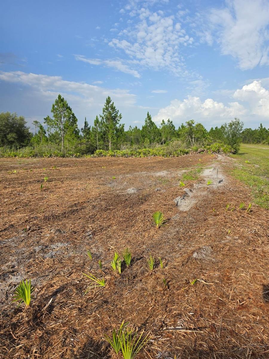 Land in INDIAN LAKE ESTATES
