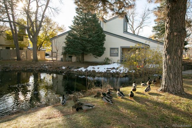 UNIT-833 - 7900 W Layton Ave, Condo with 4 bedrooms, 4 bathrooms and 2 parking in Littleton CO | Image 28