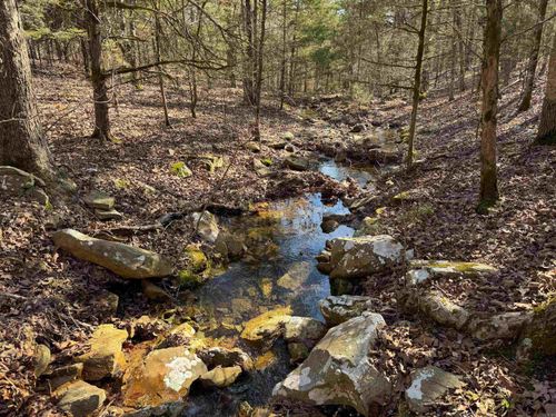 170 Enders Rd, Quitman, AR, 72131-8942 | Card Image