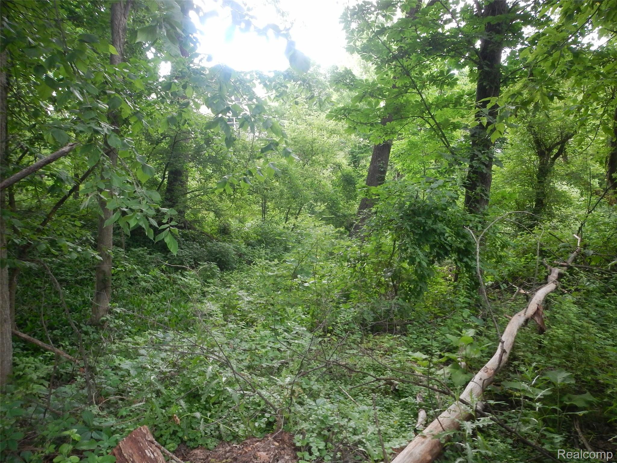 Land in Lake Orion Village 2