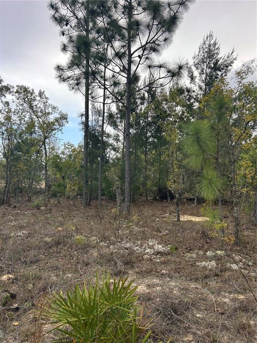 3528 W Nieman Dr, Dunnellon, FL, 34433-6897 | Card Image