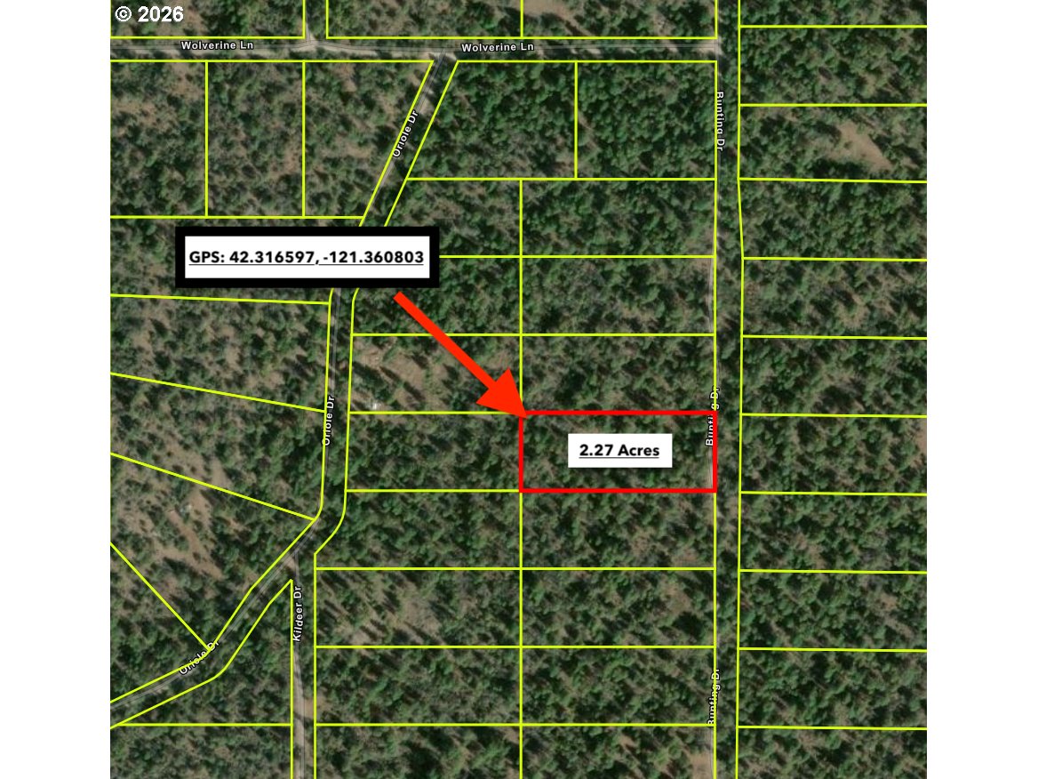 Land in Bonanza 5