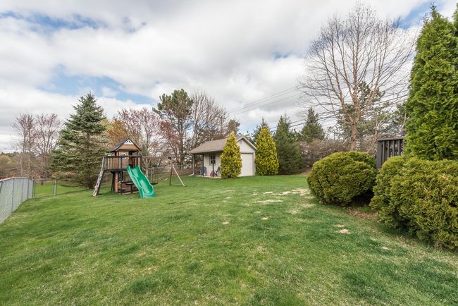 Big yard | Image 50