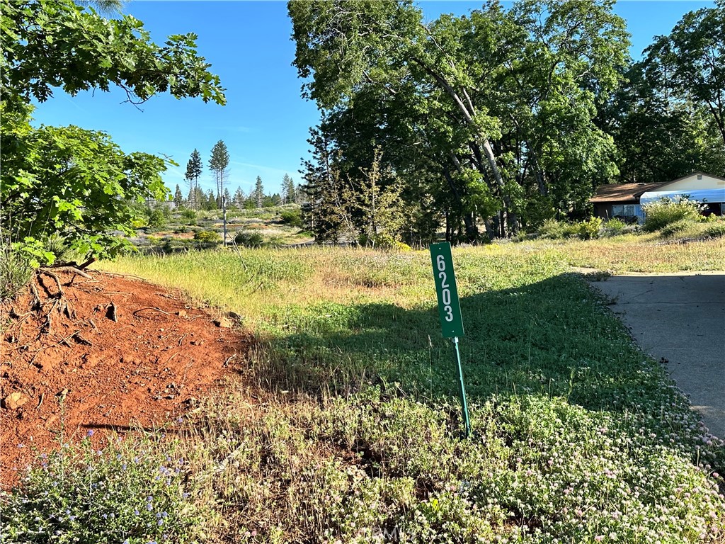 Land in Magalia 4