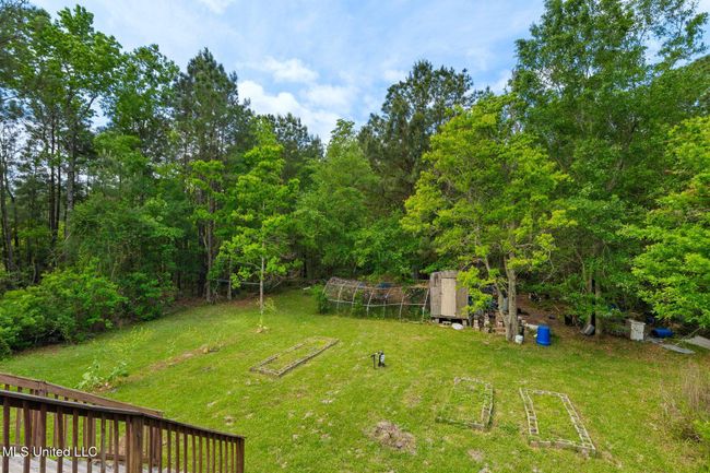 Back yard | Image 19