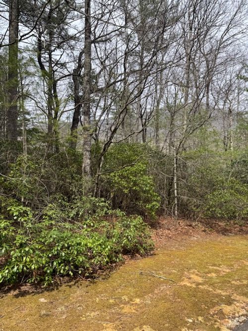 72 Big Pine Rd, Sapphire, NC, 28774-9579 | Card Image