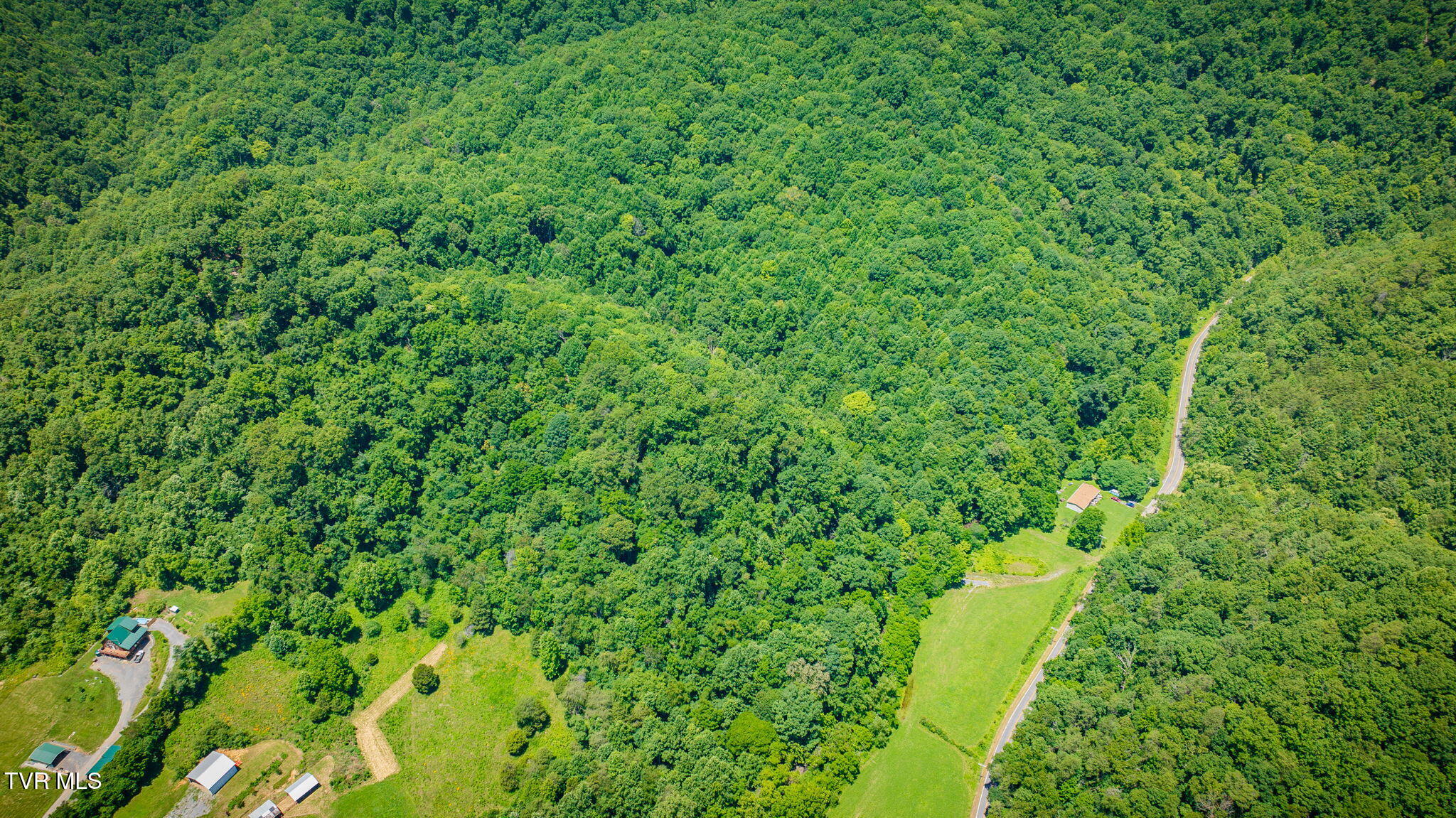 Land in Rogersville 2