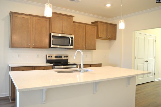 147 Locomotive (Lot 16) Lane, House other with 3 bedrooms, 3 bathrooms and null parking in Irmo SC | Image 11