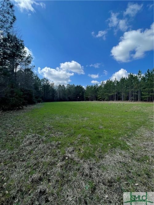 0 Fish Road, Newington, GA, 30446 | Card Image