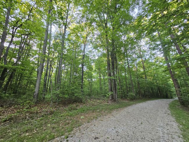 3 Woodfern Ln, Home with 0 bedrooms, 0 bathrooms and null parking in Coalmont TN | Image 6