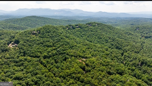 Land in Ellijay 4