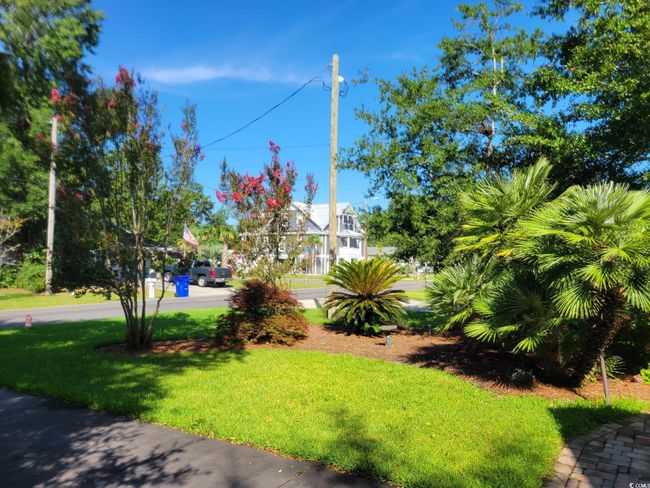 View of green lawn | Image 36