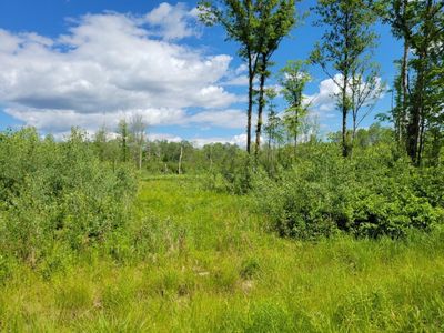 Lot 3 Johnson Road, Home with 0 bedrooms, 0 bathrooms and null parking in Pittsville WI | Image 3