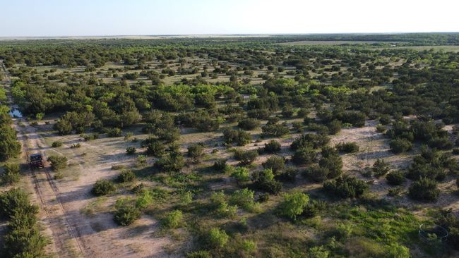 3609 Fm 1086, Home with 0 bedrooms, 0 bathrooms and null parking in Ovalo TX | Image 27