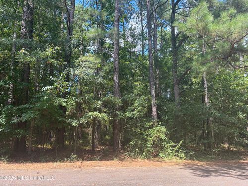 0 Lexington Ln, Mccomb, MS, 39648 | Card Image