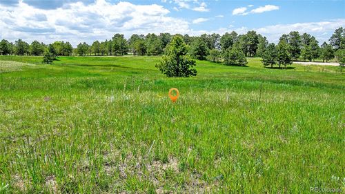 17255 Forest Green Way, Elbert, CO, 80106-8934 | Card Image