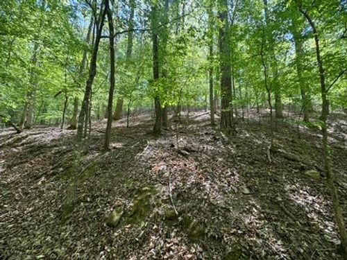 Lot 1972 Nancy Ct, ELLIJAY, GA, 30540 | Card Image