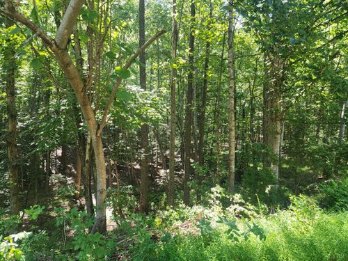 0 Knoll Woods Dr, Rustburg, VA, 24588 | Card Image