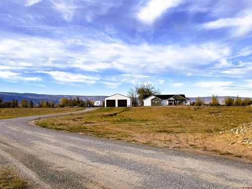 8585 Ellens Way, Austin, CO, 81410-8216 | Card Image