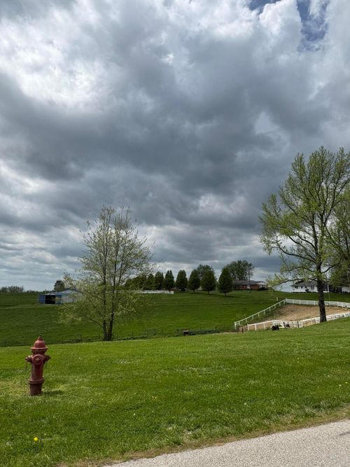 Lot 24 Don Galloway Drive, Brooksville, KY, 41004 | Card Image