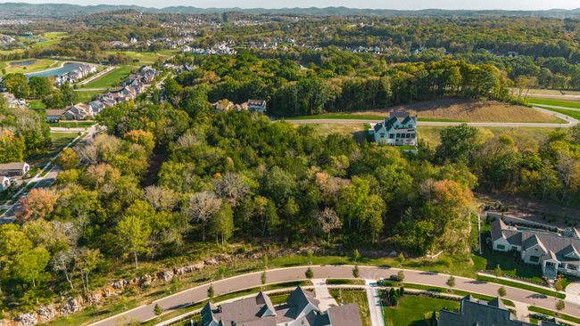 8708 Ashbrook Ln, Home with 0 bedrooms, 0 bathrooms and null parking in College Grove TN | Image 4
