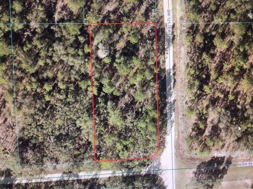  0 Sw 89th St, Dunnellon, FL, 34432 | Card Image
