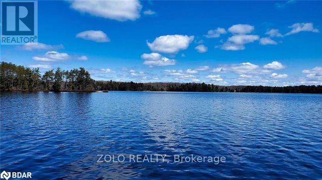 18 Hawkins Point Road, Home with 0 bedrooms, 0 bathrooms and null parking in Georgian Bay (Freeman) ON | Image 7