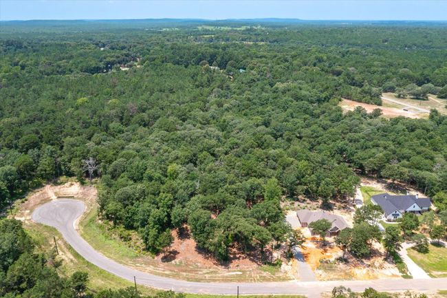 3109 Shadow Pine Dr, Home with 0 bedrooms, 0 bathrooms and null parking in Larue TX | Image 6