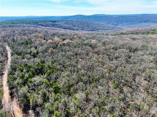 TBD Liberty Hill Rd, Natural Dam, AR, 72948 | Card Image