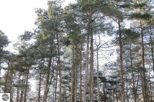 C Garfield Rd, Kingsley, MI, 49649 | Card Image