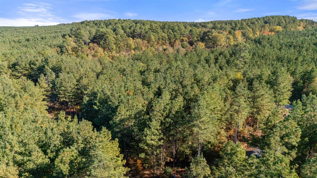 Land in Broken Bow 3