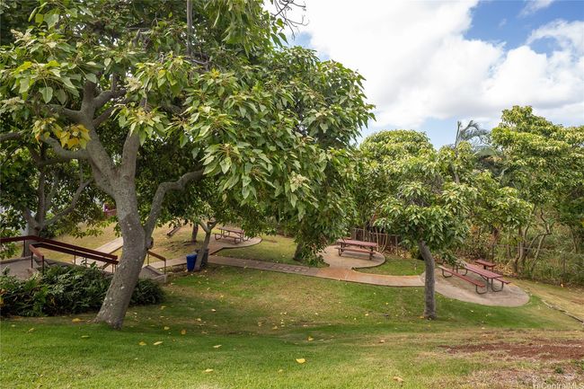 Shady and cool bbq and picnic area | Image 18