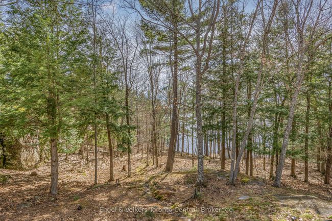 2481 Falkenburg Rd, House other with 3 bedrooms, 1 bathrooms and 6 parking in Port Carling ON | Image 26