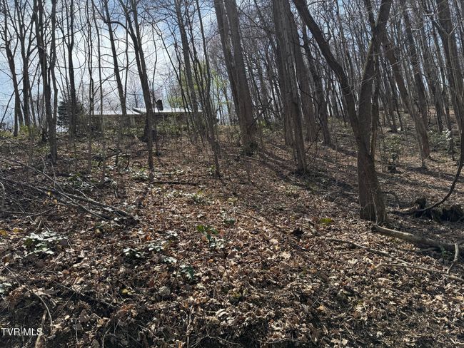 649 Sugar Run Rd, House other with 4 bedrooms, 3 bathrooms and null parking in Jonesville VA | Image 25