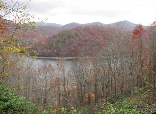 Lot# 10 Viewforth Place, Nantahala, NC, 28781 | Card Image