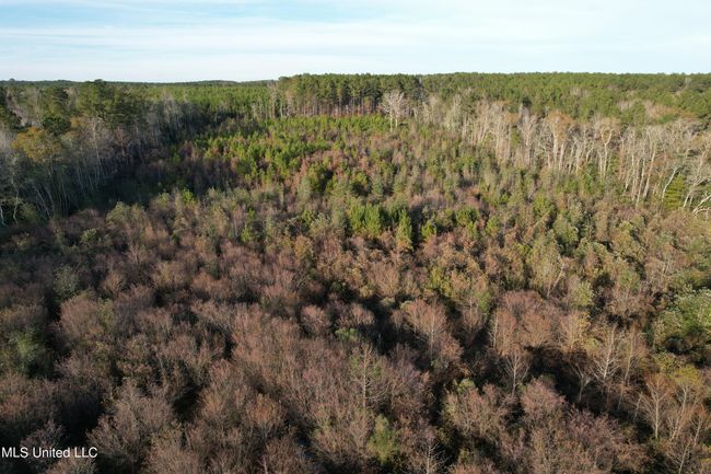 DJI_0802 | Image 67