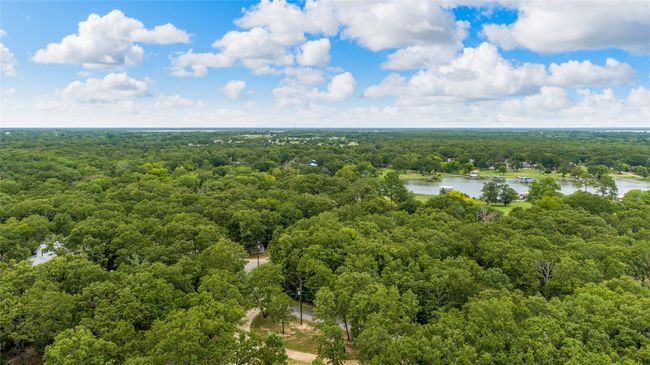 Aerial view of a forest and a nearby body of water | Image 34