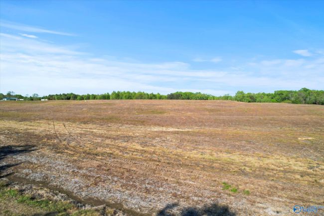 24 Eleven Forty Rd, Home with 0 bedrooms, 0 bathrooms and null parking in Grant AL | Image 10